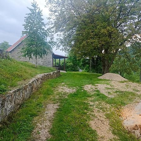 Villa Kamena Kuca- Stone House Scepanovic Bijela Savnik Exterior foto